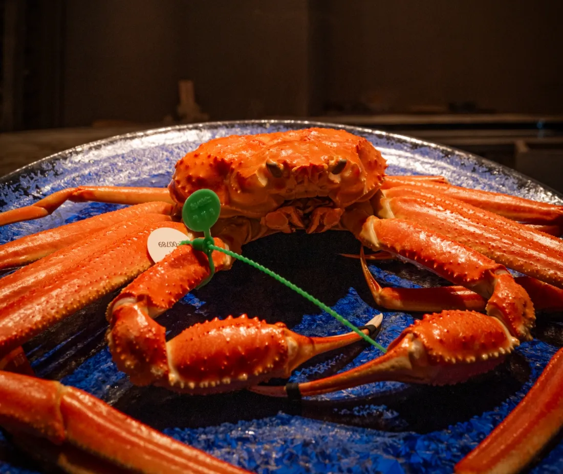 松葉蟹