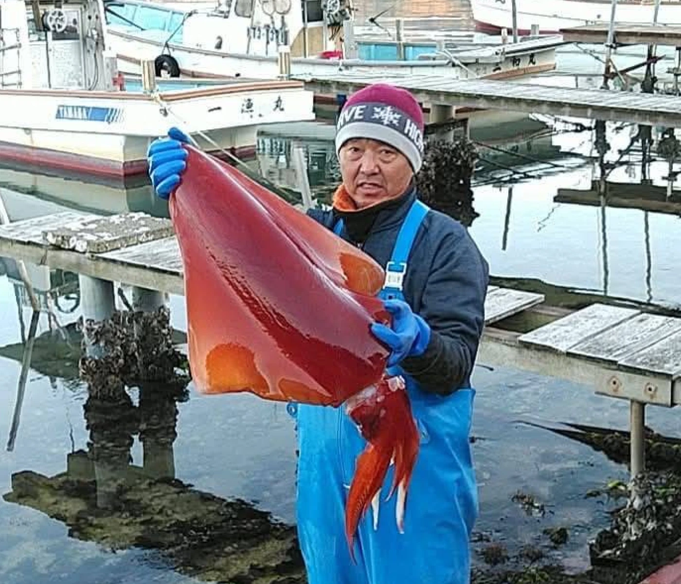 宮津湾の漁師 本藤靖さん